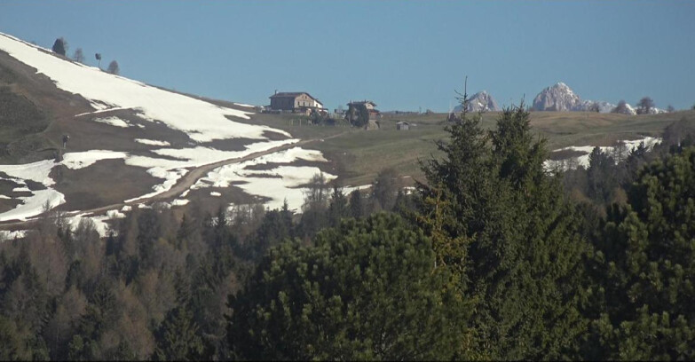 Webcam Bellamonte-Alpe Lusia  - Pista Dolomitica