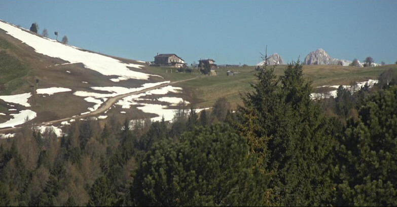 Webcam Bellamonte-Alpe Lusia  - Pista Dolomitica