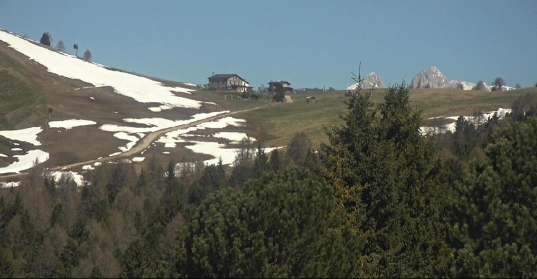 Webcam Bellamonte-Alpe Lusia  - Pista Dolomitica