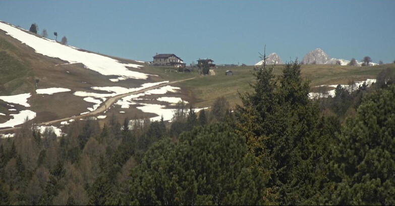 Webcam Bellamonte-Alpe Lusia  - Pista Dolomitica