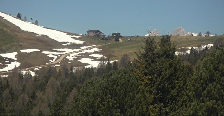 Webcam Bellamonte-Alpe Lusia  - Pista Dolomitica