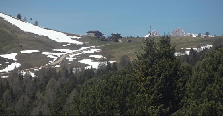 Webcam Bellamonte-Alpe Lusia - Dolomiti slope
