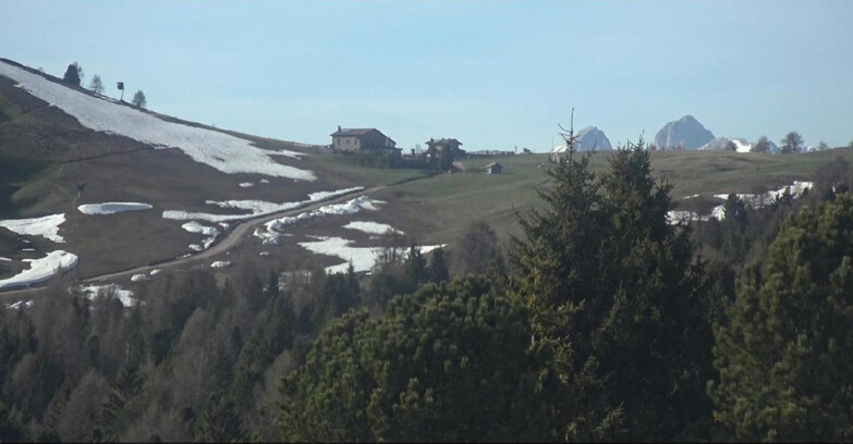 Webcam Bellamonte-Alpe Lusia - Dolomiti slope