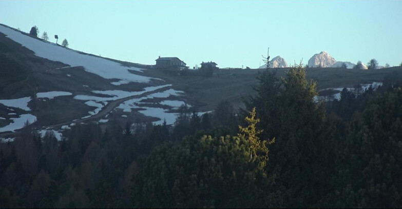 Webcam Bellamonte-Alpe Lusia  - Pista Dolomitica