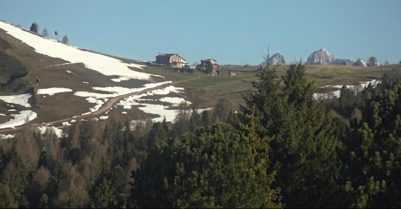 Webcam Bellamonte-Alpe Lusia  - Pista Dolomitica