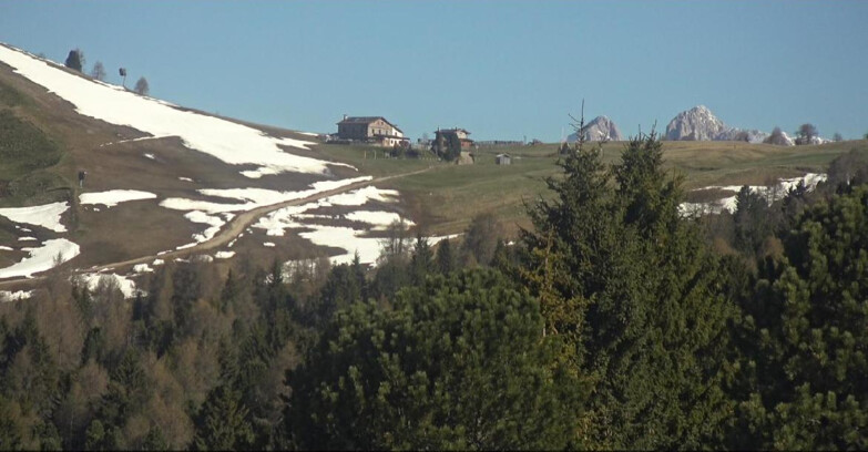 Webcam Bellamonte-Alpe Lusia  - Pista Dolomitica