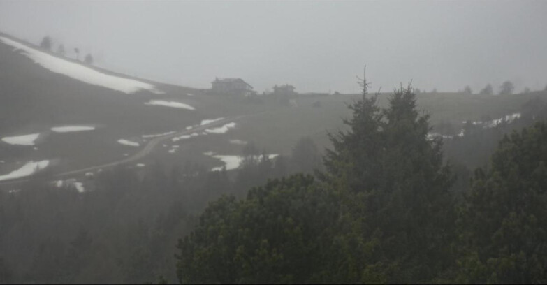 Webcam Bellamonte-Alpe Lusia  - Pista Dolomitica