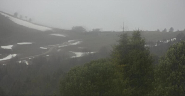 Webcam Bellamonte-Alpe Lusia  - Pista Dolomitica