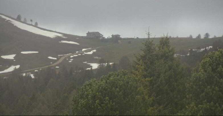 Webcam Bellamonte-Alpe Lusia  - Pista Dolomitica