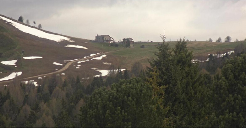 Webcam Bellamonte-Alpe Lusia  - Pista Dolomitica
