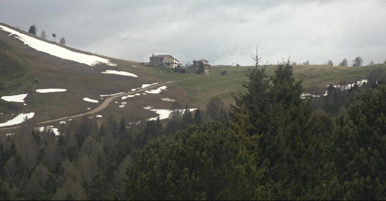 Webcam Bellamonte-Alpe Lusia  - Pista Dolomitica