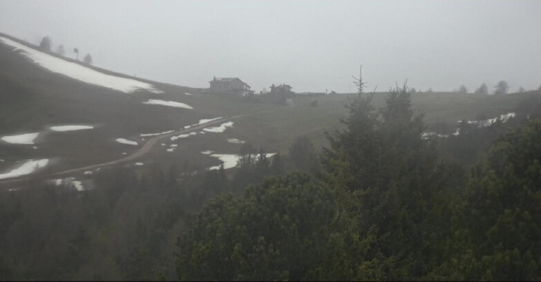 Webcam Bellamonte-Alpe Lusia  - Pista Dolomitica