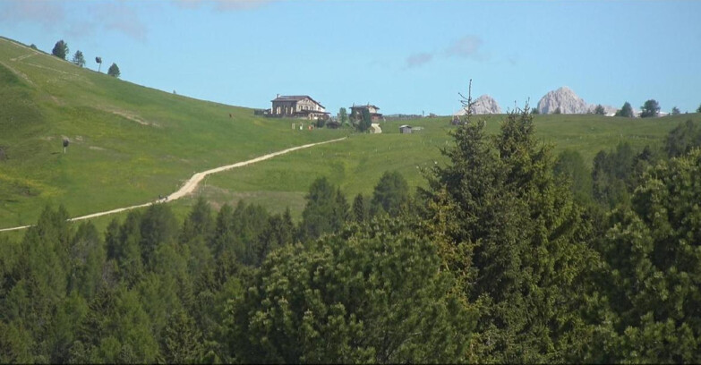 Webcam Bellamonte-Alpe Lusia - Pista Dolomitica