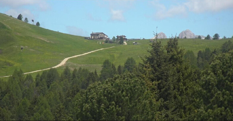 Webcam Bellamonte-Alpe Lusia - Pista Dolomitica