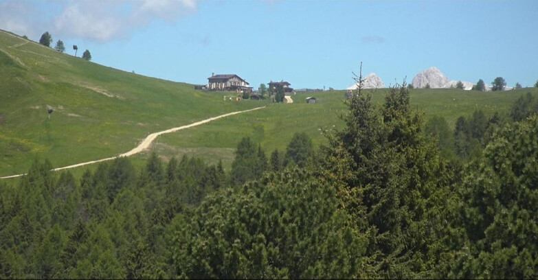 Webcam Bellamonte-Alpe Lusia - Pista Dolomitica