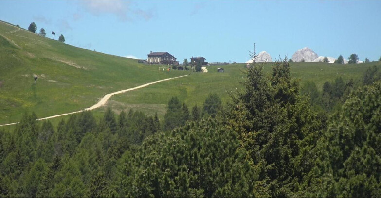 Webcam Bellamonte-Alpe Lusia - Pista Dolomitica