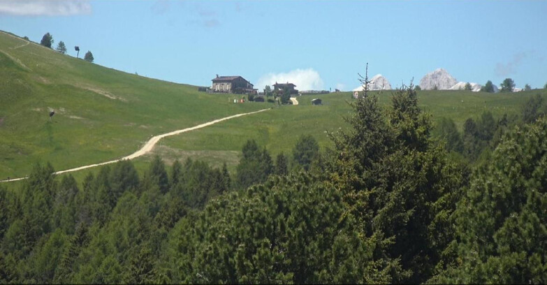 Webcam Bellamonte-Alpe Lusia - Pista Dolomitica