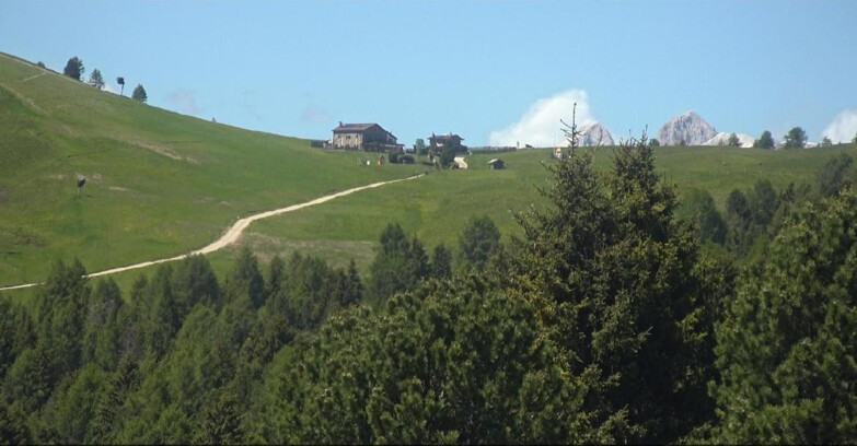 Webcam Bellamonte-Alpe Lusia - Pista Dolomitica