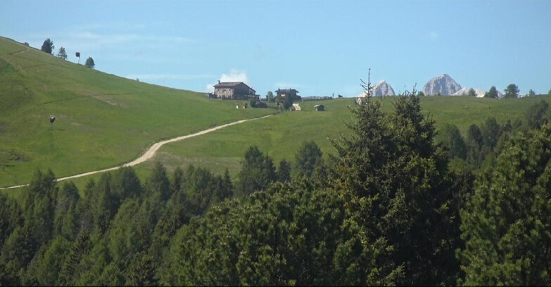 Webcam Bellamonte-Alpe Lusia - Pista Dolomitica