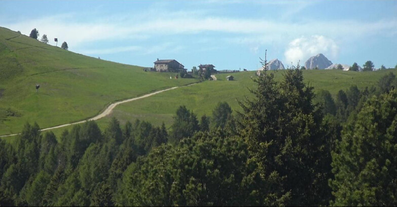 Webcam Bellamonte-Alpe Lusia - Pista Dolomitica