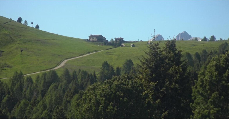 Webcam Bellamonte-Alpe Lusia - Pista Dolomitica