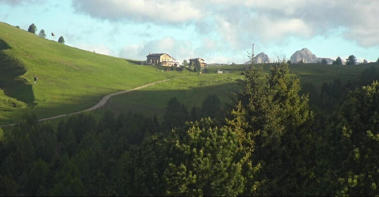 Webcam Bellamonte-Alpe Lusia - Pista Dolomitica