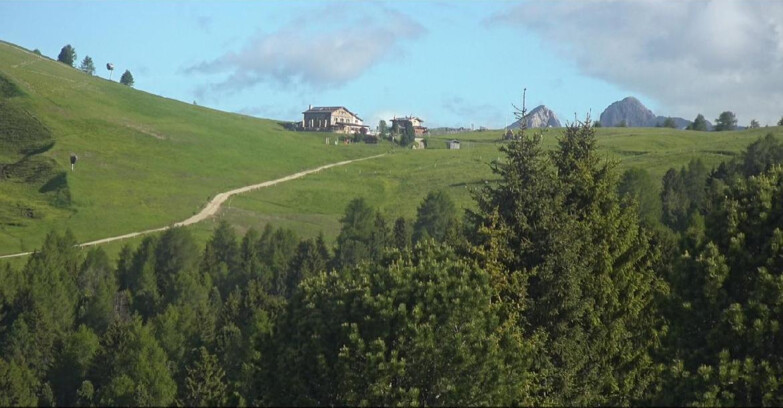 Webcam Bellamonte-Alpe Lusia - Pista Dolomitica