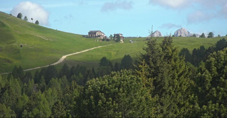 Webcam Bellamonte-Alpe Lusia - Pista Dolomitica