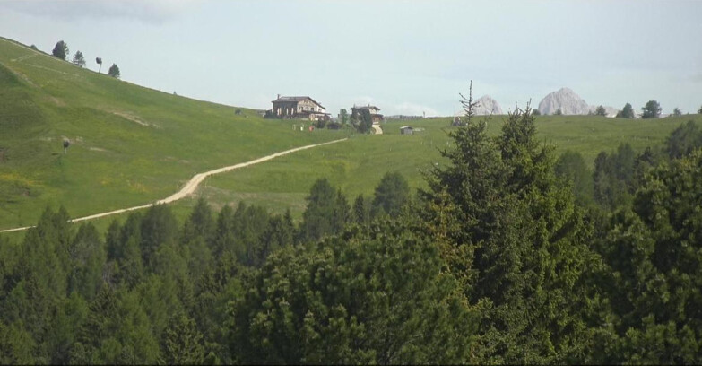 Webcam Bellamonte-Alpe Lusia - Dolomiti slope