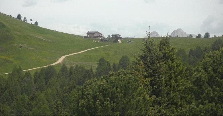 Webcam Bellamonte-Alpe Lusia - Dolomiti slope