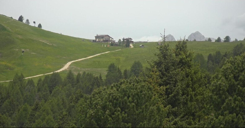 Webcam Bellamonte-Alpe Lusia - Dolomiti slope