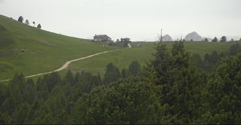 Webcam Bellamonte-Alpe Lusia - Dolomiti slope