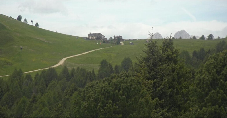 Webcam Bellamonte-Alpe Lusia - Dolomiti slope