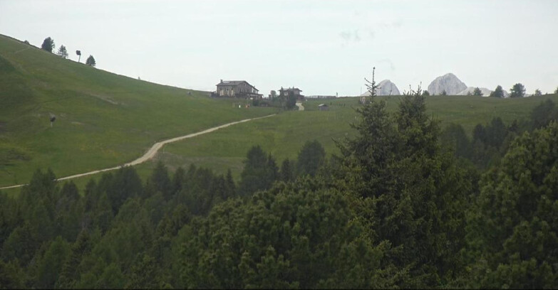 Webcam Bellamonte-Alpe Lusia - Dolomiti slope