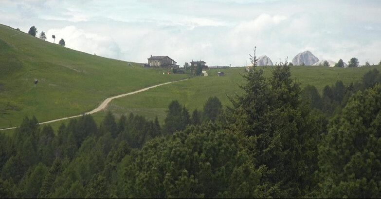 Webcam Bellamonte-Alpe Lusia - Dolomiti slope