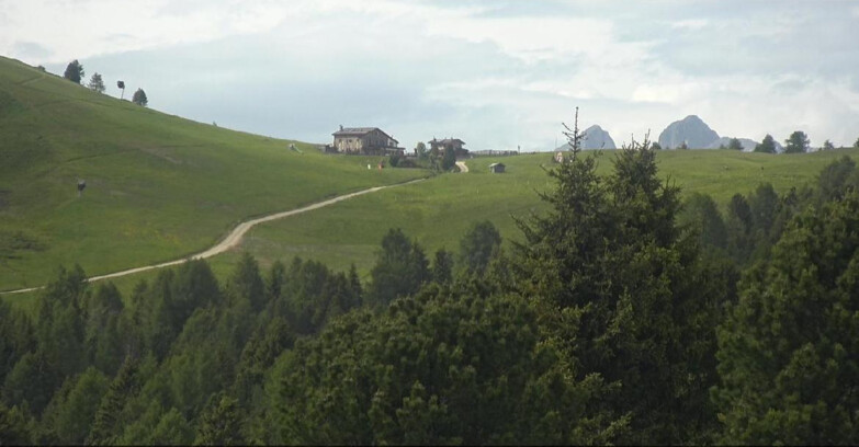 Webcam Bellamonte-Alpe Lusia - Dolomiti slope