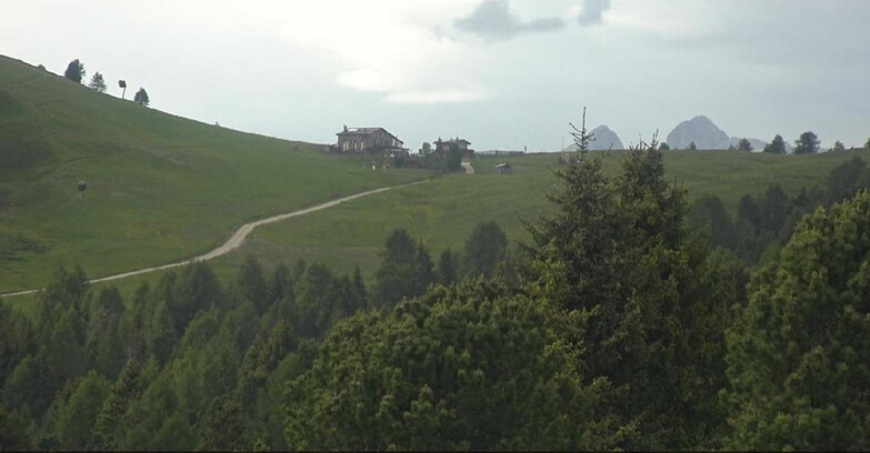 Webcam Bellamonte-Alpe Lusia - Dolomiti slope