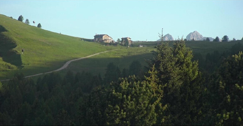 Webcam Bellamonte-Alpe Lusia - Dolomiti slope