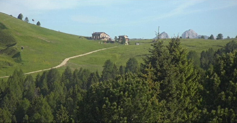 Webcam Bellamonte-Alpe Lusia - Dolomiti slope