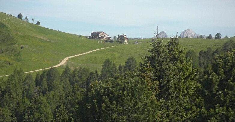 Webcam Bellamonte-Alpe Lusia - Dolomiti slope