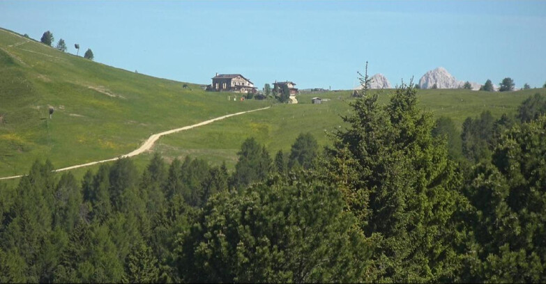 Webcam Bellamonte-Alpe Lusia - Pista Dolomitica