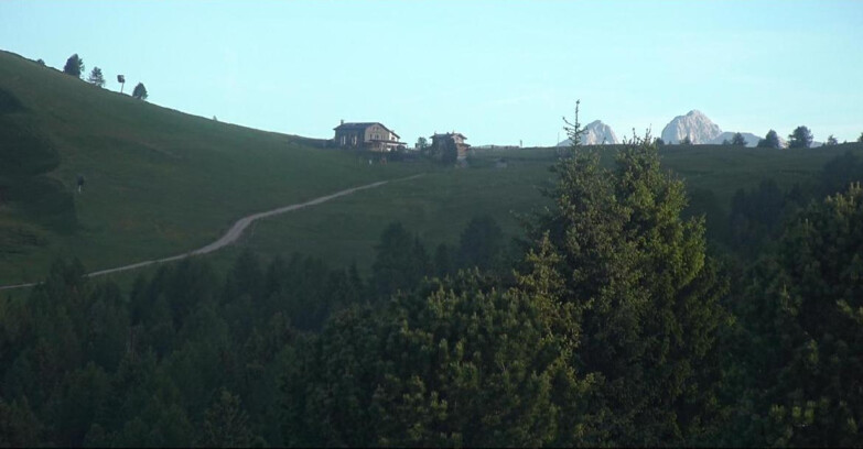 Webcam Bellamonte-Alpe Lusia - Pista Dolomitica