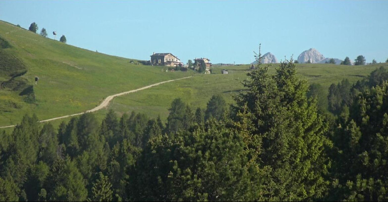 Webcam Bellamonte-Alpe Lusia - Pista Dolomitica