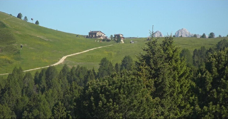 Webcam Bellamonte-Alpe Lusia - Pista Dolomitica