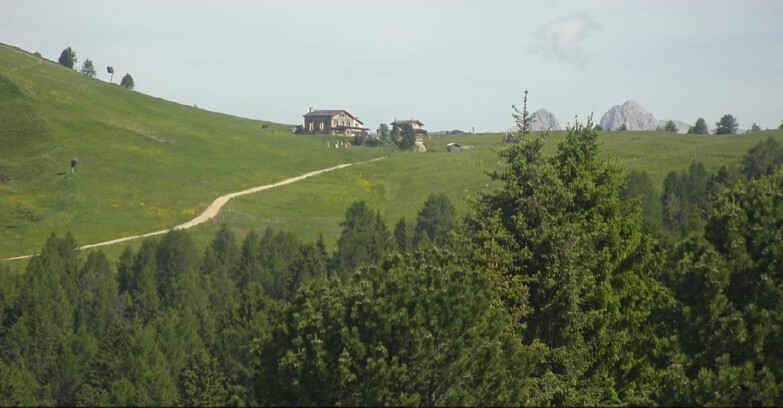 Webcam Белламонте-Альпе-Лусиа  - Pista Dolomitica