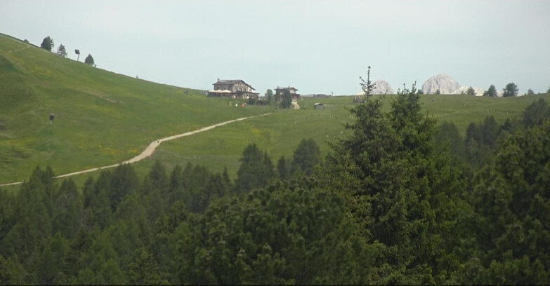 Webcam Белламонте-Альпе-Лусиа  - Pista Dolomitica