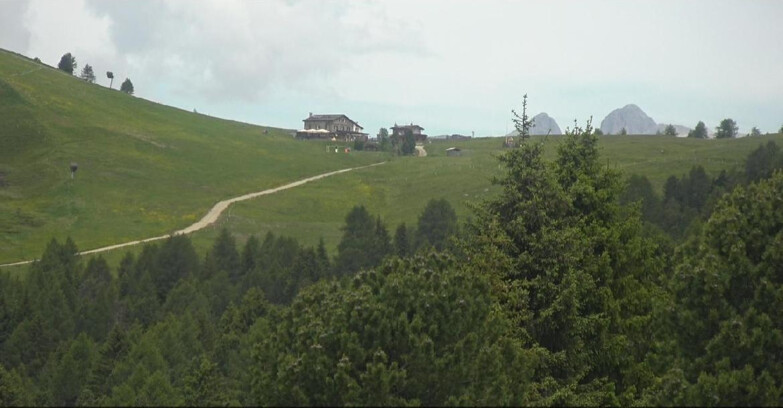 Webcam Белламонте-Альпе-Лусиа  - Pista Dolomitica