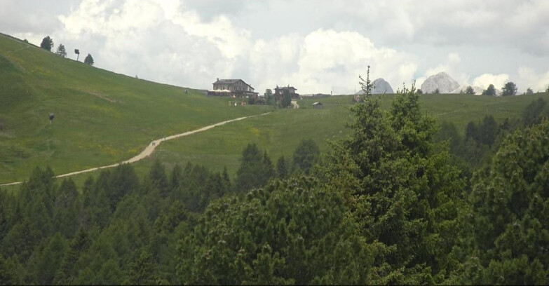 Webcam Белламонте-Альпе-Лусиа  - Pista Dolomitica