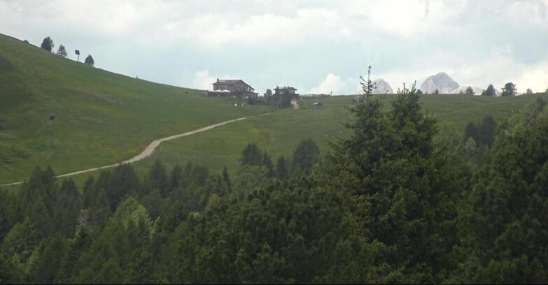 Webcam Белламонте-Альпе-Лусиа  - Pista Dolomitica