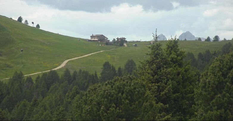 Webcam Белламонте-Альпе-Лусиа  - Pista Dolomitica
